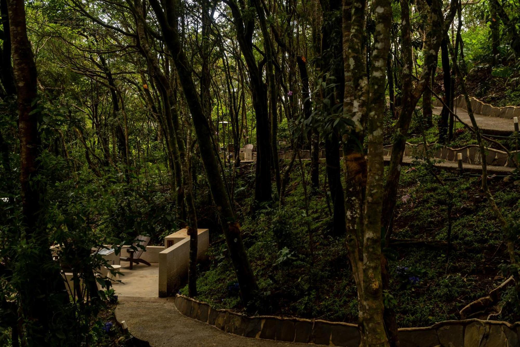 Koora Monteverde A Cloud Forest Hotel By Sandglass Esterno foto